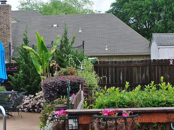 2nd image of 8068 Sara Jane Ln