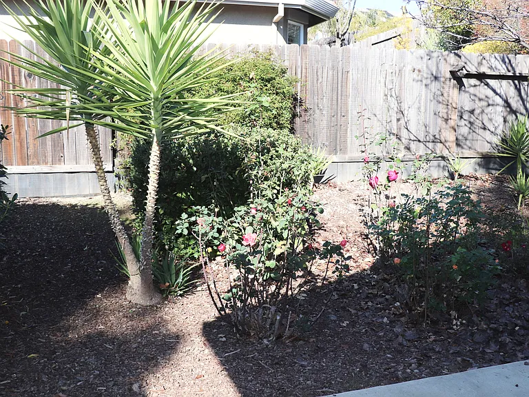 3729 Coldwater Dr — Photo 16