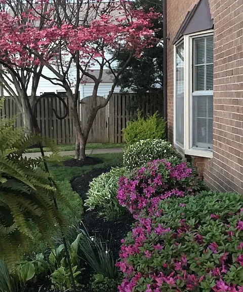 6020 Independence Way — Photo 3