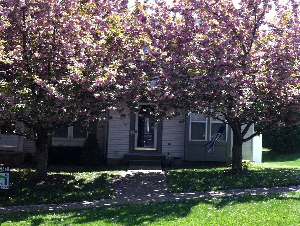 Front of house in spring!