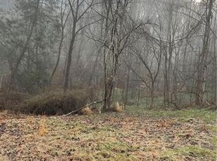 99999 Pond Rd, Asheville, NC 28806