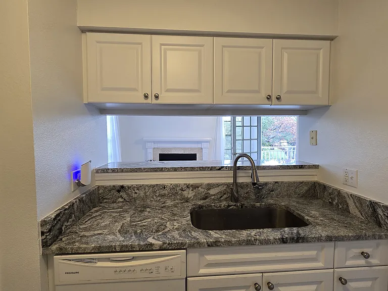 1000 W Horatio St #220 — Photo 8