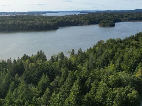 109 Bunker Hill Rd Lot 88, Campobello Island, NB E5E 1Z3