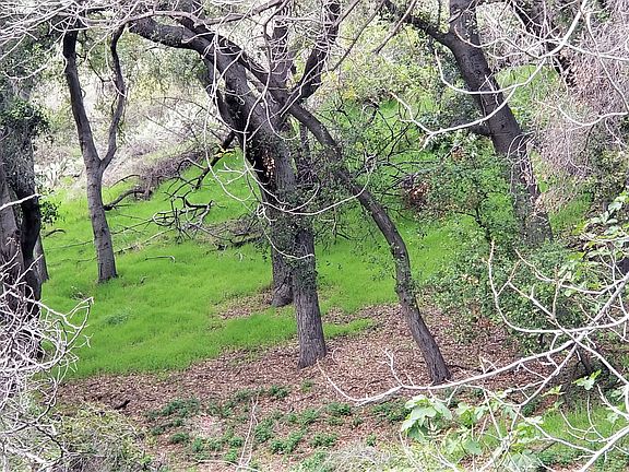 Lower middle of lower parcel