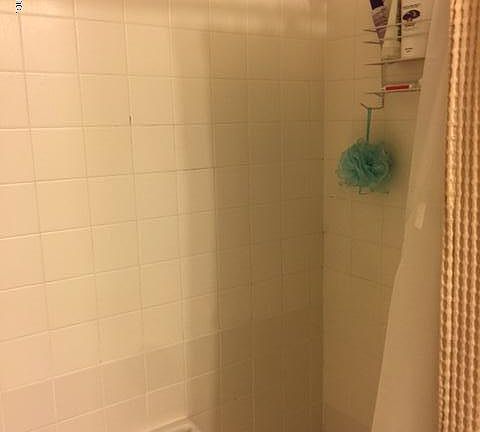 5th image of 8440 Windypine Ln