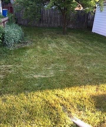 5th image of 557 Farnham Ave