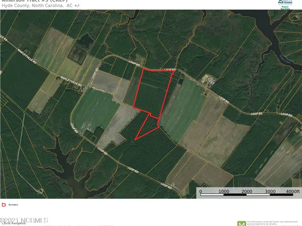 0 0 Loop Rd Road, Scranton, NC 27875