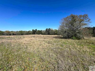 1797 County Road 4215, Simms, TX, 75574