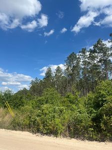 (Undisclosed Address), Pearson, GA, 31642