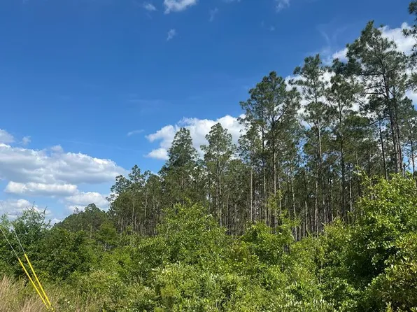 (undisclosed Address), Pearson, GA 31642