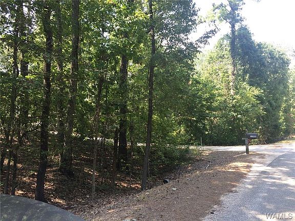 3rd image of 0000 Lake Lurleen Road