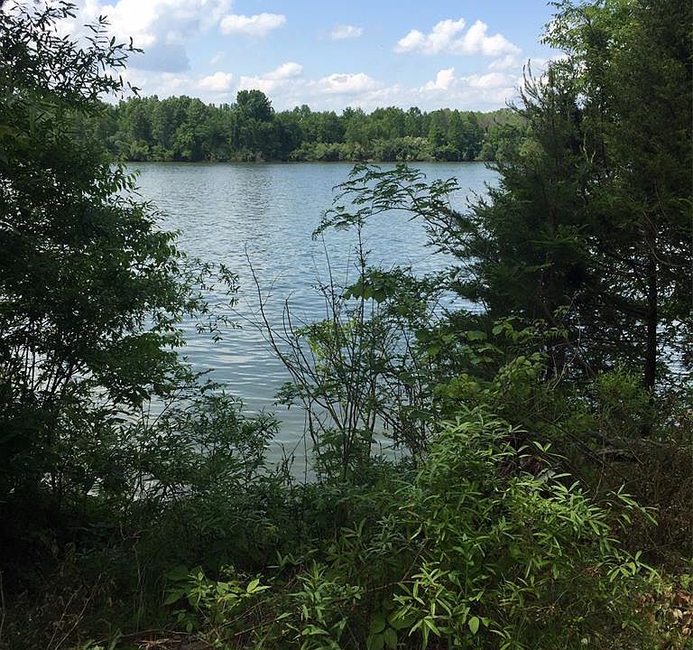 2nd image of 270 Moss Boat Dock Ln