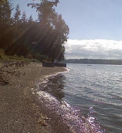 3rd image of 304 41st Ave NE