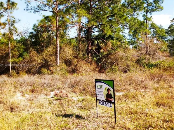 2112 Irving Ave, Alva, FL 33920