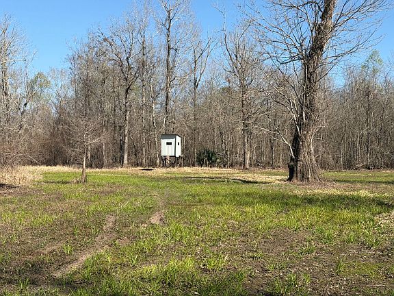 3rd image of Misty Creek Rd