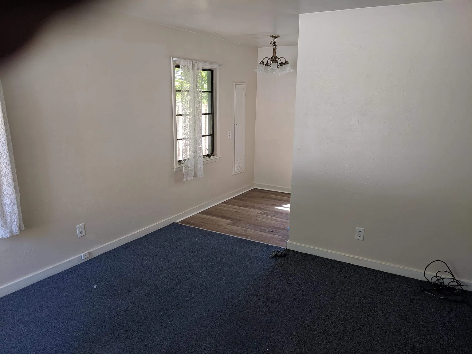 1 bed, $1,250 — Photo 2