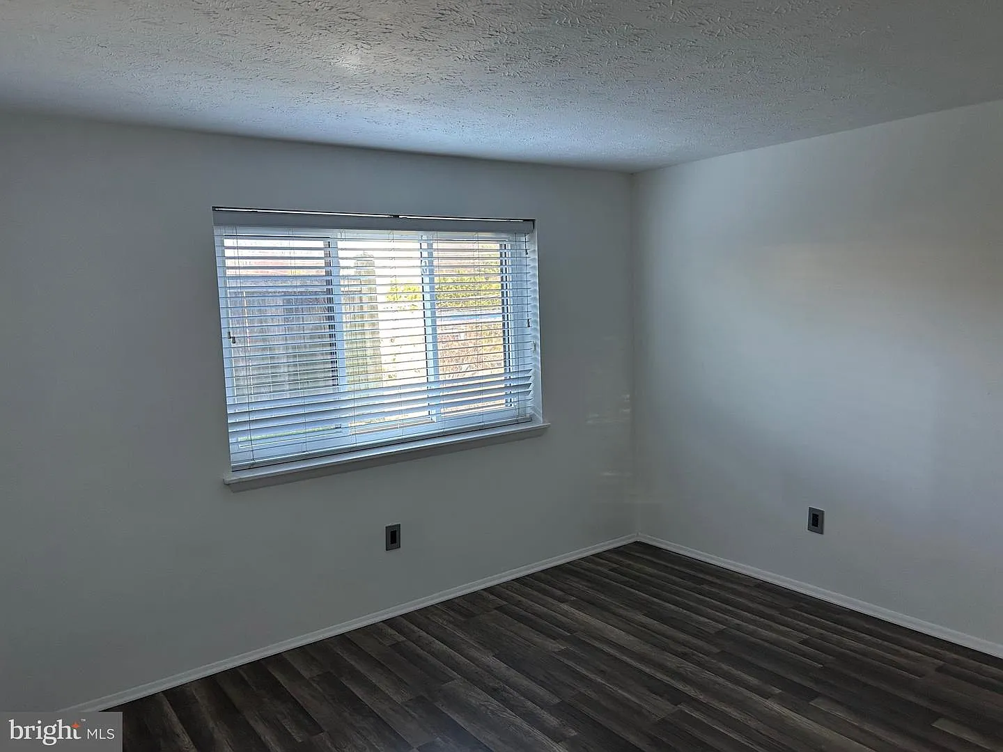 2 bed, 1.0 bath, 889 sqft, $2,000 — Photo 2
