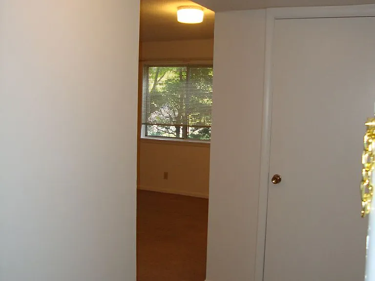 300 Jefferson St — Photo 4
