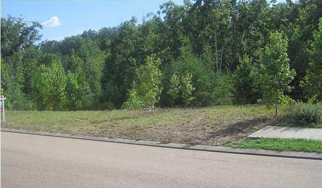Large Private Back Lot!
