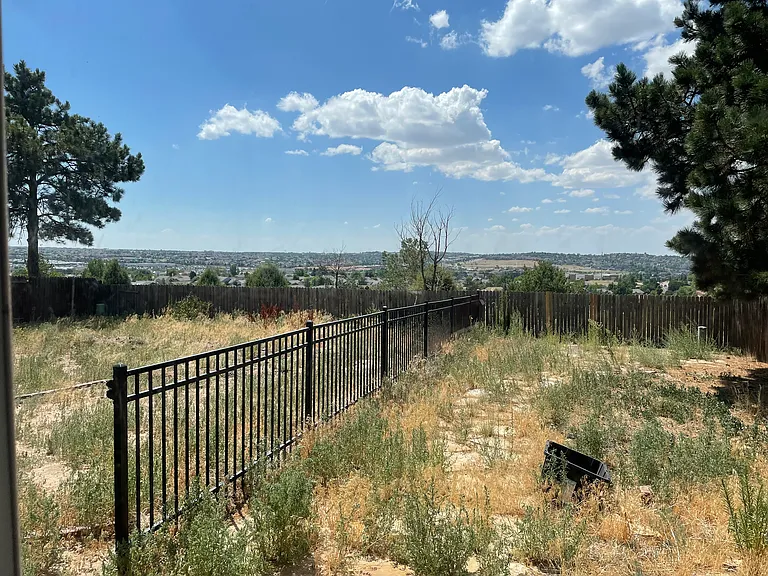 4115 Scotch Pine Dr — Photo 6