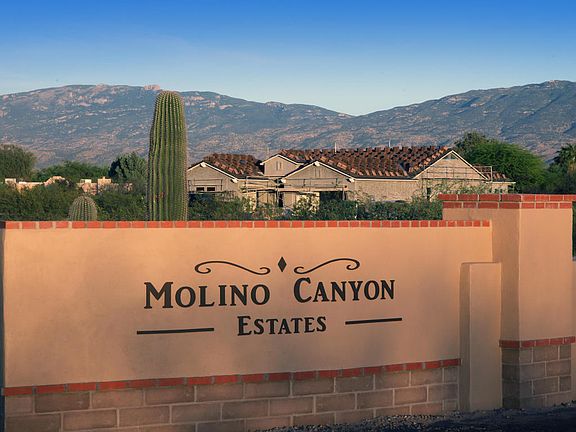 4th image of 3558 N Molino Canyon Pl