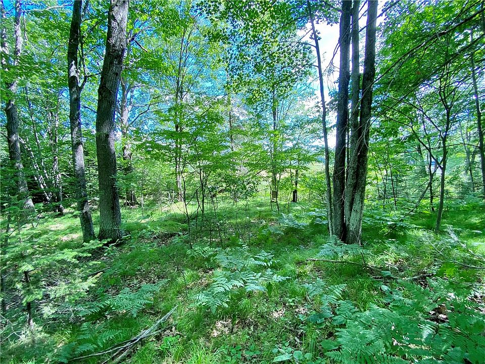 2nd image of 00 Reiske Road