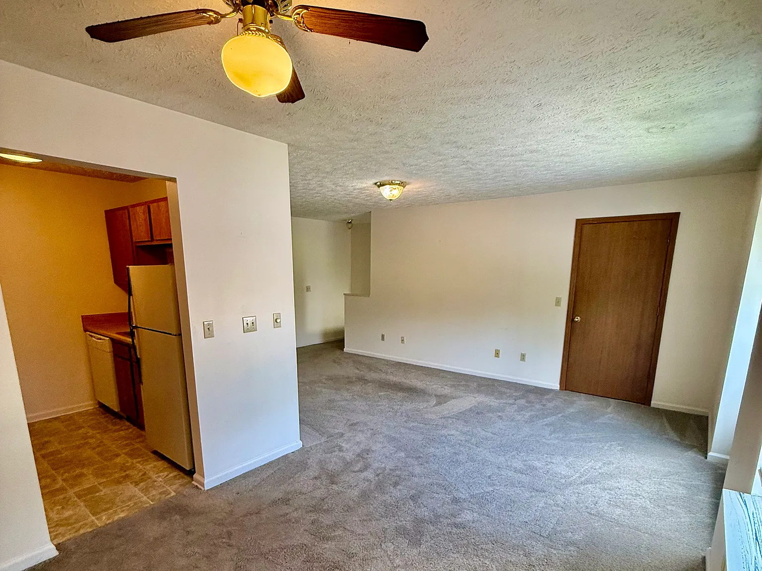 2 bed, $800 — Photo 2