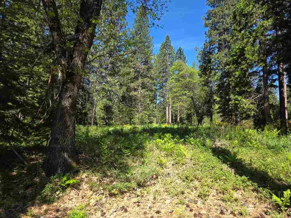 LOT 74 Old Mill Dr, McCloud, CA 96057