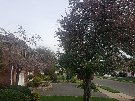 North Side Elevation