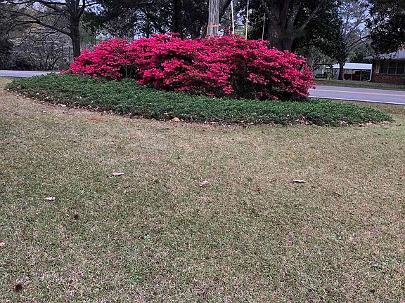 5th image of 981 Morris Majestic Rd