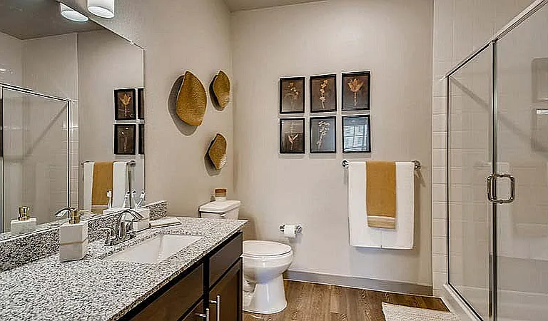bathroom2-1c49d44fdd88e6bf21511f6a319510c8