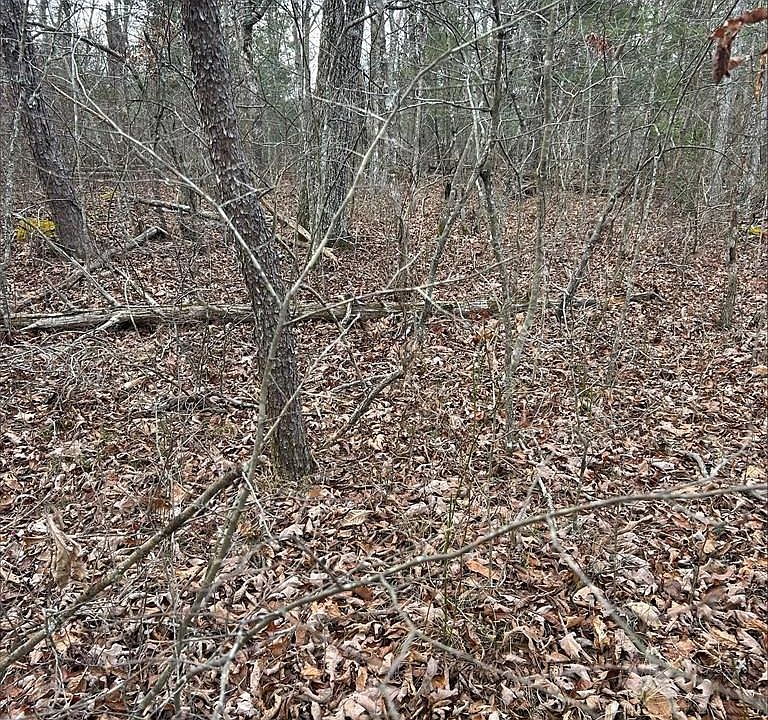 1st image of 4127 Moccasin Ln