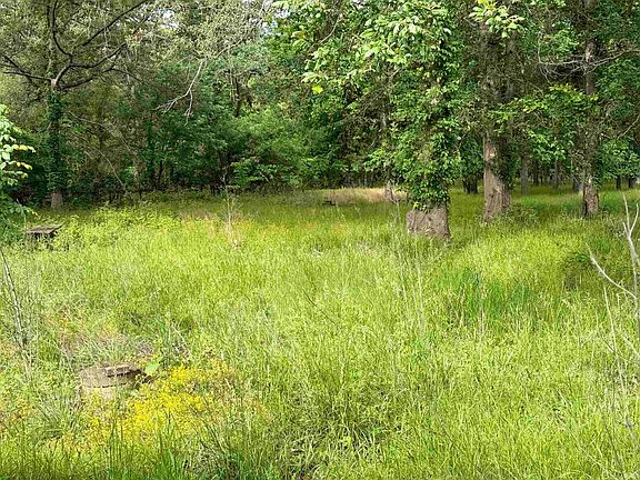 5th image of 12101 Maier Rd