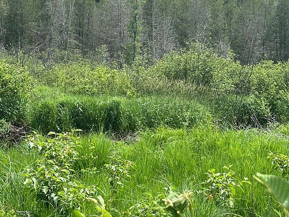2nd image of 0 Contau Lake Rd Lot 6