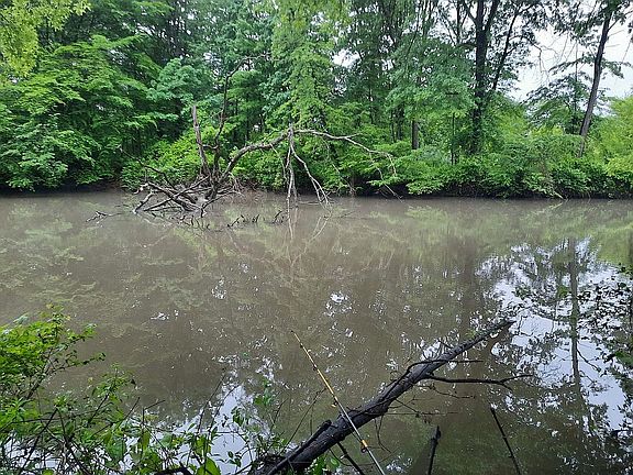 2nd image of River St NE