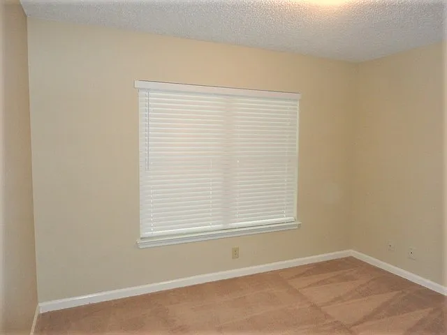 4914 Dovefield Dr — Photo 10