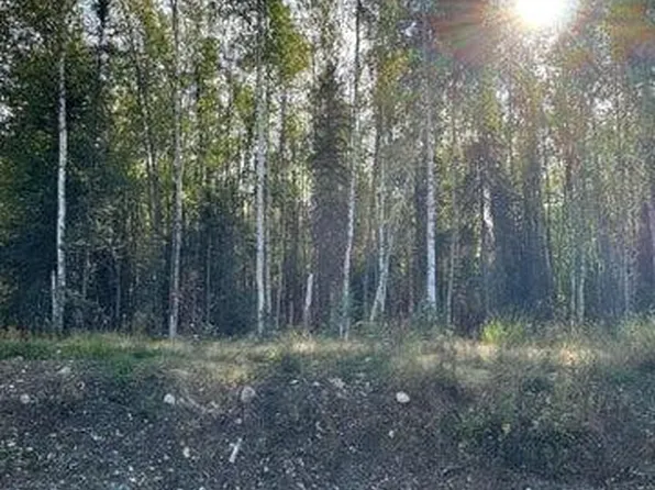 3361 N Carrillo Cir, Wasilla, AK 99623