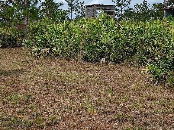 5th image of HOLOPAW GROVES ROAD