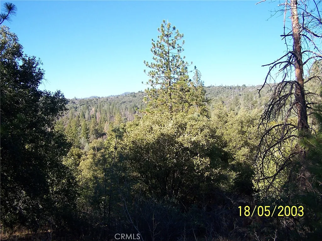 10 Jean Rd W photo 1