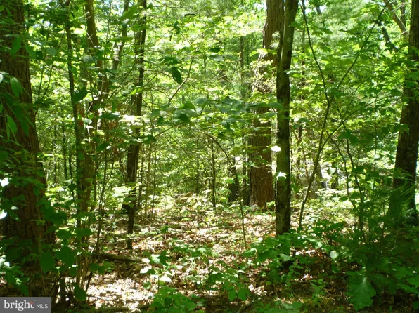 36 Morrie Dr, Basye, VA 22810
