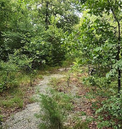 5th image of 730 County Road 263