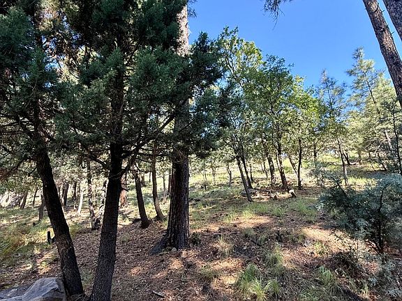 5th image of 165 W BURNT POINT Trail #1