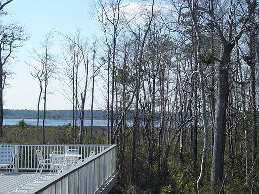 4th image of 224 River Gate Ln
