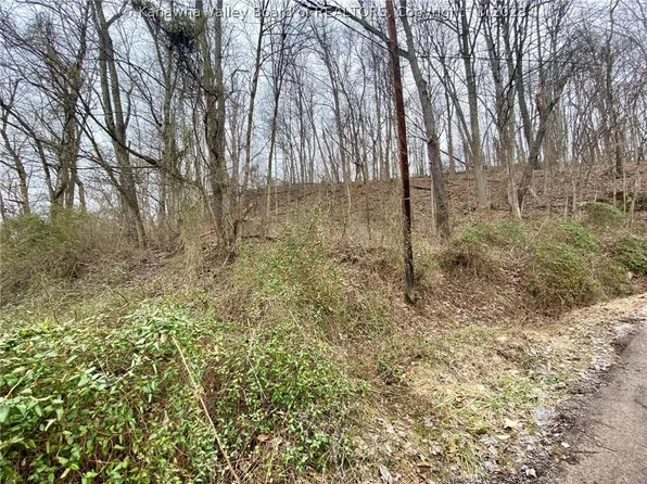 0 Bush St, Charleston, WV 25313