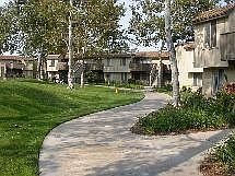 4th image of 42 Bear Paw APT 71A