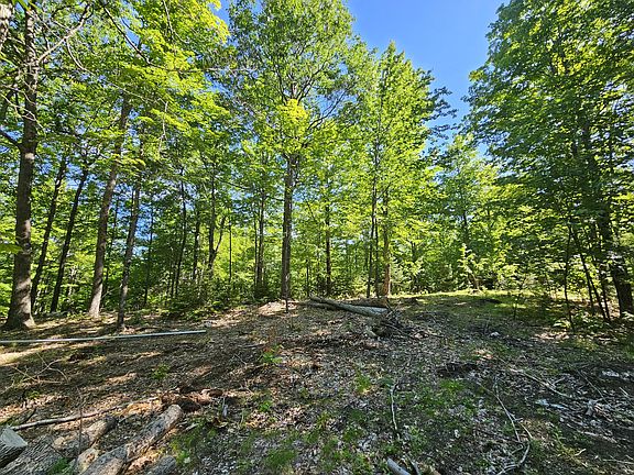 5th image of 106 Maple Rdg Way