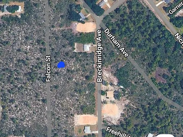 345 Falcon St, Lake Placid, FL 33852