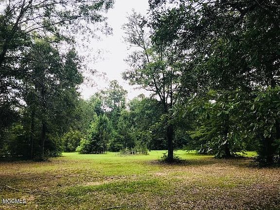 5th image of 25874 Sandy Creek Ct