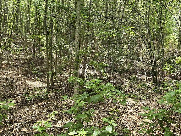 5th image of 331 Maple St