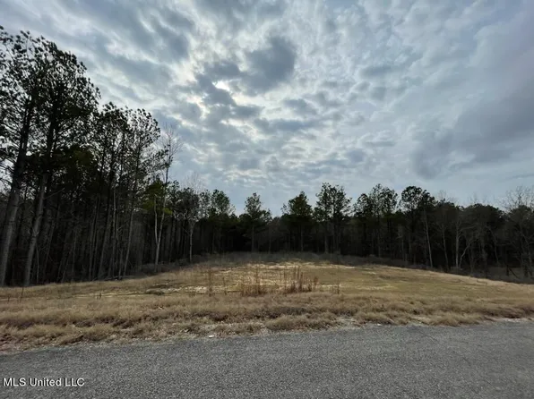 0 Sandy Branch Rd, Sarah, MS 38665